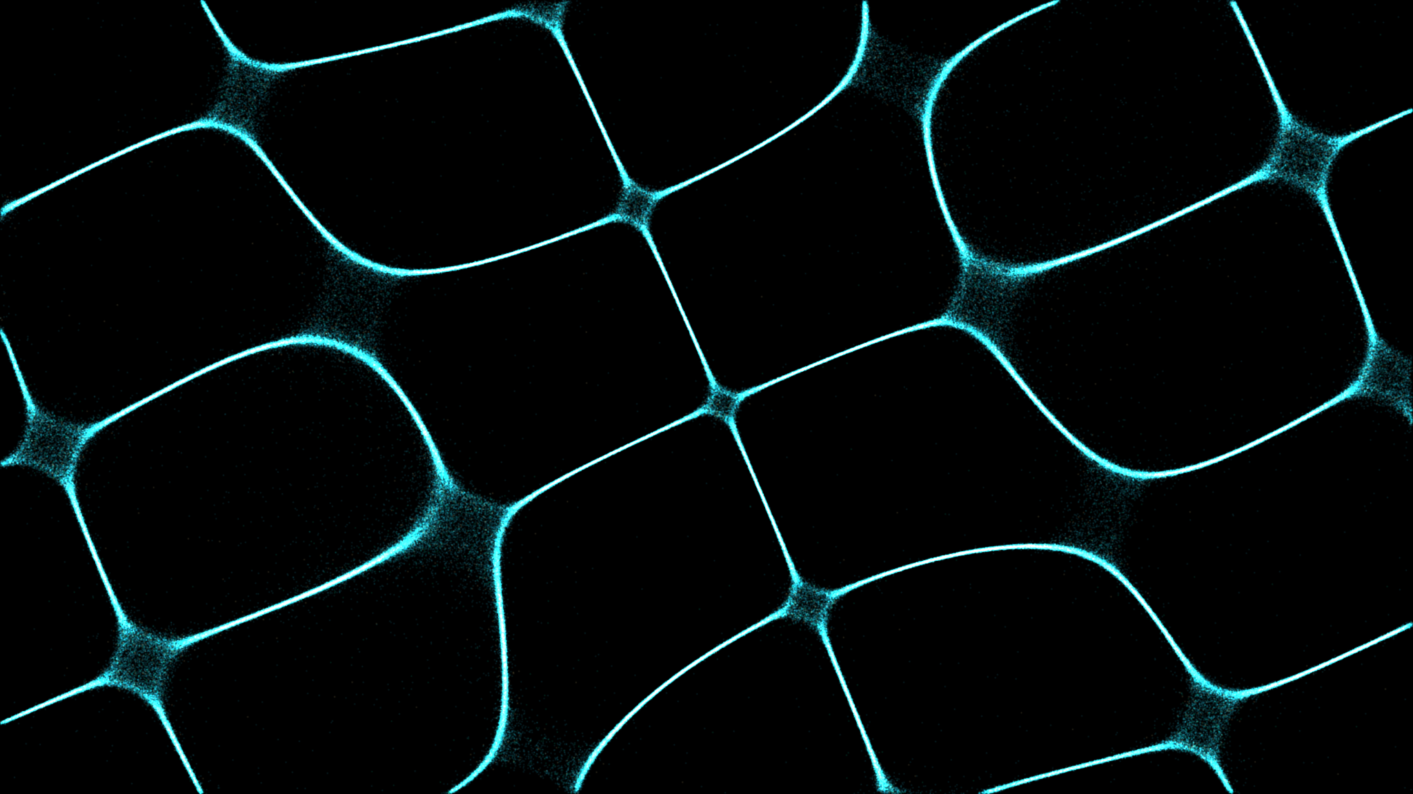 Shamba Network: Equipping Smallholder Farmers to Conserve Ecosystems